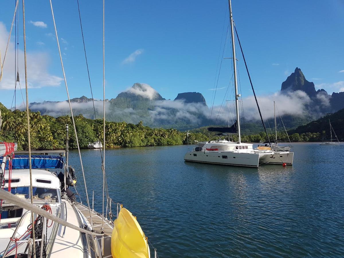 2 Nuits Insolites & 1 Excursion Voile A Bord Du Voilier Mori Ora موريا المظهر الخارجي الصورة